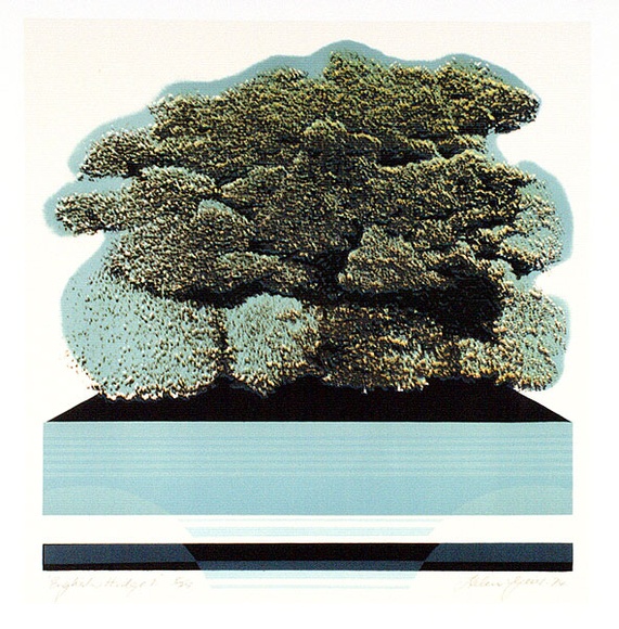 Artist: b'Geier, Helen.' | Title: b'English hedge 1' | Date: 1974 | Technique: b'photo-lithograph, printed in colour, from multiple plates'