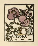 Artist: OGILVIE, Helen | Title: Greeting card: Christmas, Swainsona Pea | Technique: linocut, printed in black ink, from one block; hand-coloured