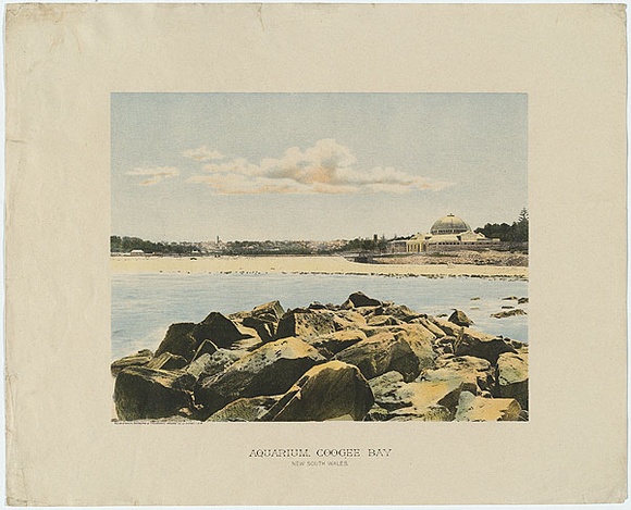 Artist: b'PHILLIP-STEPHAN PHOTO-LITHO. AND TYPOGRAPHIC PROCESS CO LTD' | Title: b'Aquarium, Coogee Bay, New South Wales' | Date: 1888 | Technique: b'photo-lithograph, printed in colour, from multiple stones'