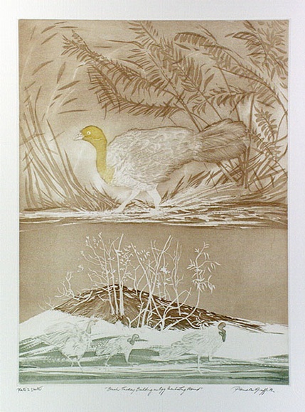 Artist: b'GRIFFITH, Pamela' | Title: b'The Brush Turkey building and egg incubating mound' | Date: 1989 | Technique: b'hard ground, aquatint, printed in colour, from one copper plate' | Copyright: b'\xc2\xa9 Pamela Griffith'