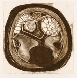 Artist: b'LAWTON, Tina' | Title: b'not titled [inside]' | Date: c.1964 | Technique: b'linocut, printed in black ink, from one block'