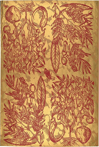 Artist: b'REDBACK GRAPHIX' | Title: b'Wrapping paper: Gold' | Date: 1986 | Technique: b'screenprint, printed in colour, from three stencils'