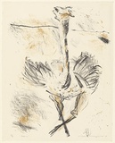 Artist: MACQUEEN, Mary | Title: Dance | Date: 1975 | Technique: lithograph, printed in colour, from two plates in black and brown ink | Copyright: Courtesy Paulette Calhoun, for the estate of Mary Macqueen