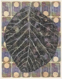 Artist: HALL, Fiona | Title: Tectona grandis - Teak (Indian currency) | Date: 2000 - 2002 | Technique: gouache | Copyright: © Fiona Hall
