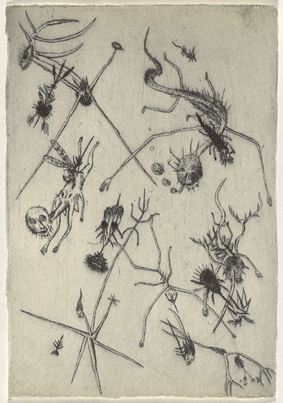 Artist: b'Uhlmann, Paul.' | Title: b'New Insecta Queensland by A A Girault.' | Date: 1989 | Technique: b'etching'