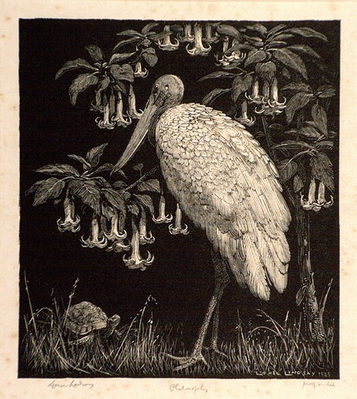 Artist: b'LINDSAY, Lionel' | Title: b'Philosophy' | Date: 1925 | Technique: b'wood-engraving, printed in black ink, from one block' | Copyright: b'Courtesy of the National Library of Australia'