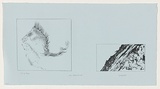 Artist: Bird, Cynthia. | Title: Cell structure II | Date: November 1986 | Technique: lithograph, printed in black ink, from two stones