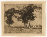 Artist: b'TRAILL, Jessie' | Title: b'Friendly trees' | Date: 1921 | Technique: b'etching, printed in warm black ink with plate-tone, from one plate'