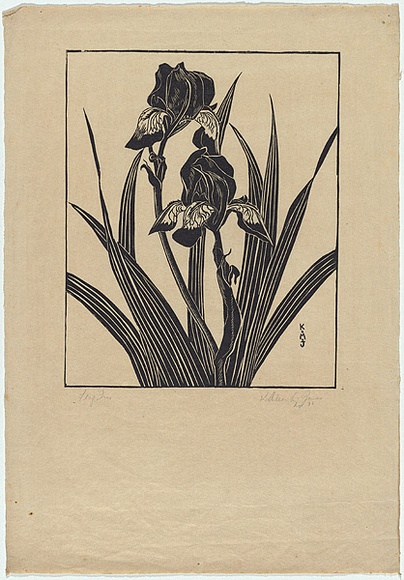 Artist: b'Jones, Kathleen.' | Title: b'Flag Iris' | Date: 1936 | Technique: b'linocut, printed in black ink, from one block'