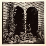 Artist: LINDSAY, Lionel | Title: The arbour | Date: 1939 | Technique: wood-engraving, printed in black ink, from one block touched with ink | Copyright: Courtesy of the National Library of Australia