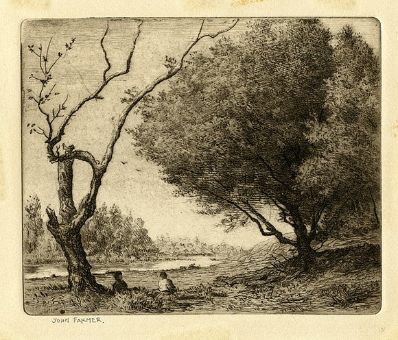 Artist: b'Farmer, John.' | Title: b'Tea tree and Banksia stump.' | Date: c.1960 | Technique: b'etching, printed in black ink with plate-tone, from one plate'