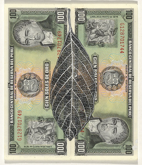 Artist: b'HALL, Fiona' | Title: bCinchona officinalis - Jesuit's bark (Peruvian currency) | Date: 2000 - 2002 | Technique: b'gouache' | Copyright: b'\xc2\xa9 Fiona Hall'