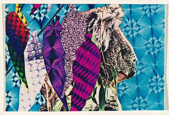 Artist: b'McDiarmid, David.' | Title: b'Postcard (Koala and gum leaves)' | Date: 1985 | Technique: b'screenprint, collage' | Copyright: b'Courtesy of copyright owner, Merlene Gibson (sister)'