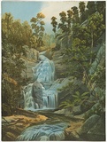 Artist: Chevalier, Nicholas. | Title: Serpentine Creek Falls, Mc Alister River, Gippsland. | Date: 1865 | Technique: lithograph, printed in colour, from multiple stones