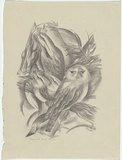 Artist: b'Hinder, Frank.' | Title: b'Frogmouth family' | Date: 1948 | Technique: b'lithograph, printed in black ink, from one stone'