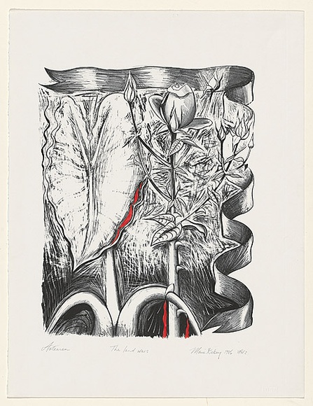 Artist: b'Kelsey, Marie.' | Title: b'The Landwars Aotearoa' | Date: 1986 | Technique: b'lithograph, printed in black ink, from one stone; handcoloured'