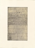 Artist: WARLAPINNI, Freda | Title: not titled (geometic composition of linesand circles) | Date: 1999, May - June | Technique: etching, intaglio and relief printed in colour, from one plate | Copyright: © Freda Warlapinni, Jilamara Arts and Craft