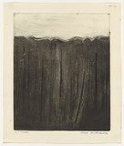 Artist: b'WILLIAMS, Fred' | Title: b'Saplings, Mittagong' | Date: 1958-61 | Technique: b'flat biting over lithographic crayon, printed in black ink, from one copper plate' | Copyright: b'\xc2\xa9 Fred Williams Estate'