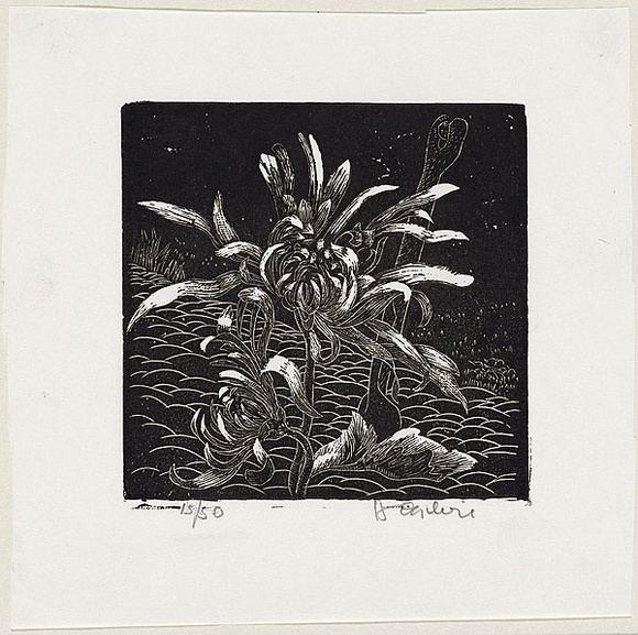 Artist: b'OGILVIE, Helen' | Title: b'Things of the ground.' | Date: c.1943 | Technique: b'wood-engraving, printed in black ink, from one block'