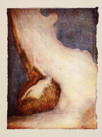 Artist: b'Boccalatte, Suzanne.' | Title: b'Belly II.' | Date: 1995 | Technique: b'colour monotype and drypoint'