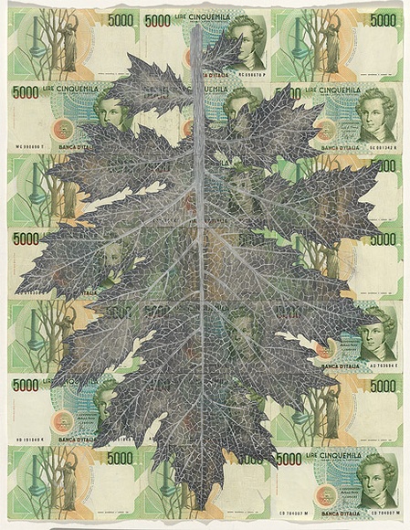 Artist: b'HALL, Fiona' | Title: bAcanthus mollis - Bear's breeches (Italian currency) | Date: 2000 - 2002 | Technique: b'gouache' | Copyright: b'\xc2\xa9 Fiona Hall'