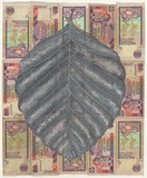 Artist: HALL, Fiona | Title: Artocarpus nobilis - Wild jak (Sri Lankan currency) | Date: 2000 - 2002 | Technique: gouache | Copyright: © Fiona Hall