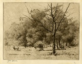 Artist: Farmer, John. | Title: Landscape with cow. | Date: c.1960 | Technique: drypoint, printed in brown ink, with plate-tone, from one plate