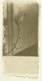 Title: b'Absence [fifth etching]' | Date: 2000-2004 | Technique: b'photo-etching, printed in graphite and gold powder, from one plate'