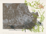 Artist: b'MEYER, Bill' | Title: b'Earth leaves with gold' | Date: 1980-1981 | Technique: b'screenprint, printed in five colours, from five screens (hand cut direct and photo indirect)' | Copyright: b'\xc2\xa9 Bill Meyer'
