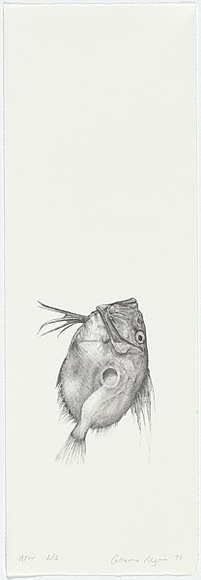 Artist: b'Pilgrim, Catherine.' | Title: b'not titled [dory]' | Date: 1998, November | Technique: b'lithograph, printed in black ink, from one stone'