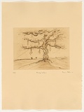 Artist: b'Pople, Rodney.' | Title: b'Pussy willow' | Date: 2002 | Technique: b'etching, printed in brown ink with plate-tone, from one plate'