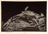 Artist: LINDSAY, Lionel | Title: The crab | Date: 1931 | Technique: wood-engraving, printed in black ink, from one block | Copyright: Courtesy of the National Library of Australia