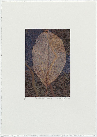 Artist: b'Wright, Helen.' | Title: b'(Single gold leaf, black and blue background and coral design)' | Date: 2000 | Technique: b'digital print, printed in colour, from digital file'