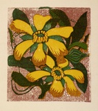 Artist: b'OGILVIE, Helen' | Title: b'Greeting card: Coastal Banksia' | Date: c.1950 | Technique: b'linocut, printed in colour, from multiple blocks'