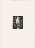 Artist: AMOR, Rick | Title: Passage. | Date: 1998 | Technique: etching, printed in black ink, from one plate