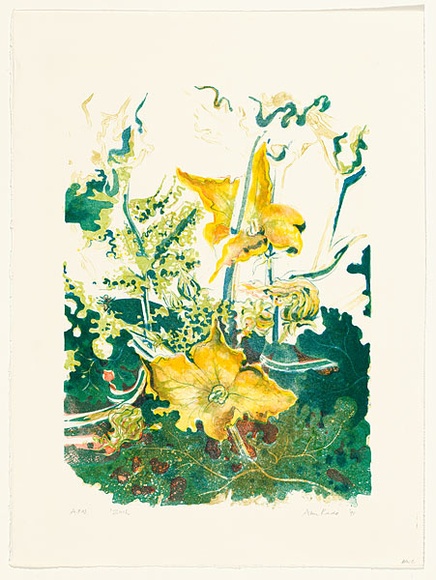 Artist: b'Rado, Ann.' | Title: b'Zuch' | Date: 1991 | Technique: b'lithograph, printed in colour, from multiple stones'