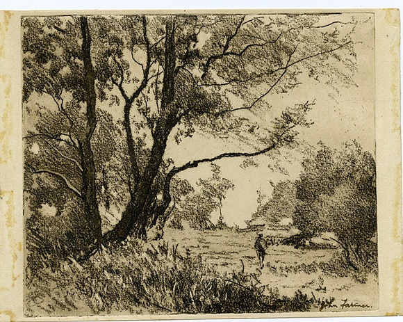 Artist: b'Farmer, John.' | Title: b'Trees on a bank.' | Date: c.1960 | Technique: b'softground-etching, printed in black ink, from one plate'