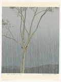 Artist: b'ROSE, David' | Title: b'Eucalypt in rain' | Date: 1977 | Technique: b'screenprint, printed in colour, from multiple stencils'