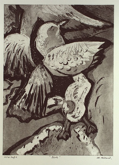 Artist: b'Hillard, Merris.' | Title: b'Birds' | Date: c.1986 | Technique: b'aquatint, printed in black ink, from one plate'