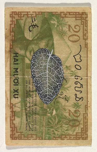 Artist: b'HALL, Fiona' | Title: b'Ficus pumila - Creeping fig (French Polynesian/Melanesian currency)' | Date: 2000 - 2002 | Technique: b'gouache' | Copyright: b'\xc2\xa9 Fiona Hall'