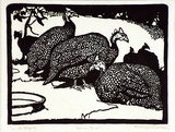 Artist: b'Waller, M. Napier.' | Title: b'Guinea fowls' | Date: c.1922 | Technique: b'linocut, printed in black ink, from one block'