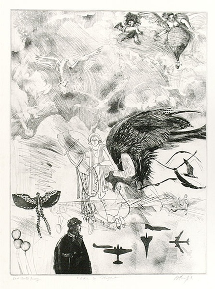 Artist: b'GRIFFITH, Pamela' | Title: b'Ode to flight' | Date: 1980 | Technique: b'etching, soft ground, hard ground, rocker, aquatint, second hard ground sandpaper lift, spray & spatter resist printed in black ink, from one zinc plate' | Copyright: b'\xc2\xa9 Pamela Griffith'