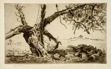 Artist: LINDSAY, Lionel | Title: Burden and heat of the day | Date: 1938 | Technique: etching and aquatint, printed in brown ink, from one plate | Copyright: Courtesy of the National Library of Australia