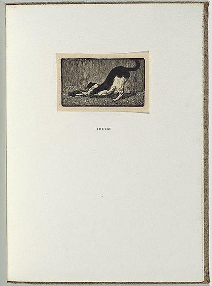 Artist: b'LINDSAY, Lionel' | Title: b'The cat' | Date: 1922 | Technique: b'wood-engraving, printed in black ink, from one block' | Copyright: b'Courtesy of the National Library of Australia'