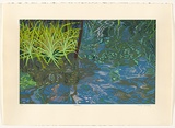Artist: b'Newberry, Angela.' | Title: b'Reflections.' | Date: 1997 | Technique: b'screenprint, printed in colour, from multiple stencils'