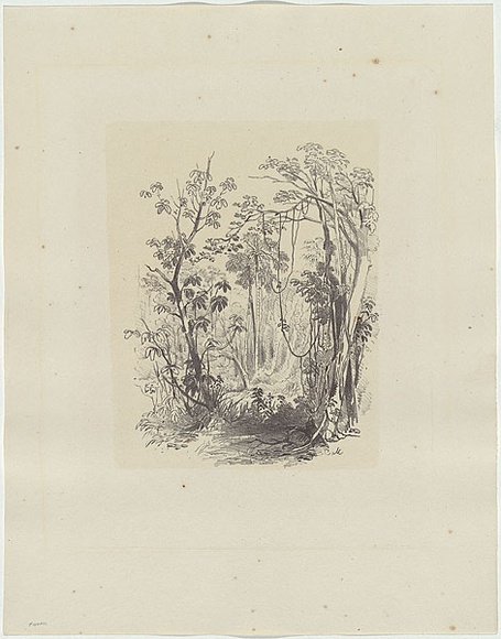 Artist: Martens, Conrad. | Title: Illawarra landscape. | Date: 1851 | Technique: lithograph, printed in colour, from multiple stones