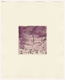 Artist: b'Headlam, Kristin.' | Title: b'Oh Rose V' | Date: 1997 | Technique: b'aquatint and drypoint, printed in colour, from two copper plates'