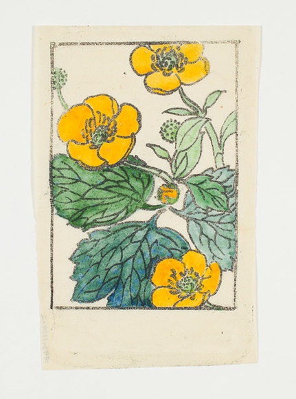 Artist: b'Sutherland, Jean.' | Title: b'not titled [yellow, green flowers]'