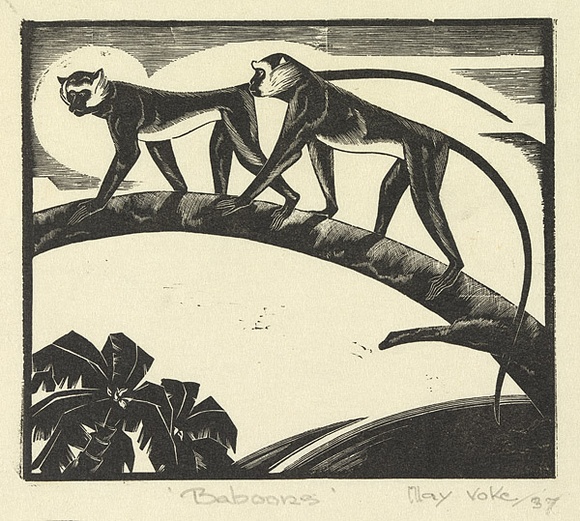 Artist: Voke, May. | Title: Baboons | Date: 1937 | Technique: wood-engraving