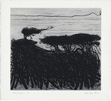 Artist: b'Kluge-Pott, Hertha.' | Title: b'Melaleuka page 3.' | Date: 2005 | Technique: b'etching and drypoint, printed in black ink with plate-tone, from one plate'